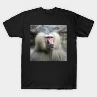 Hamadryas Baboon T-Shirt